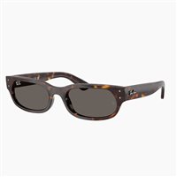 Sonnenbrille  Ray-Ban 0RB2236902/B154